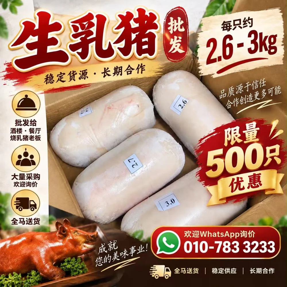 客户自己的生乳猪批发广告海报
